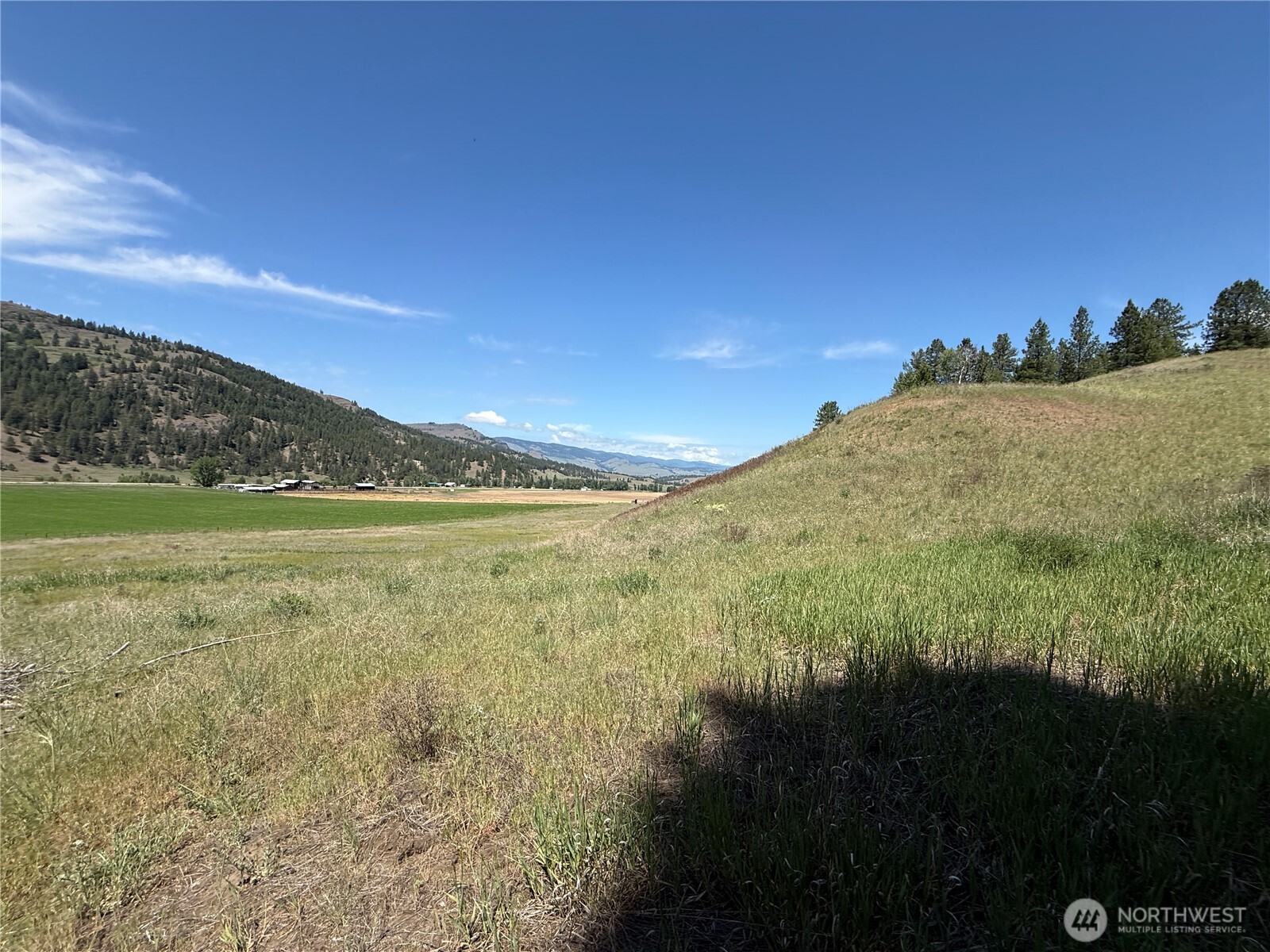0 Art Creek Road Malo, WA 99150 - Photo 5 of 13 a view of a field with an ocean