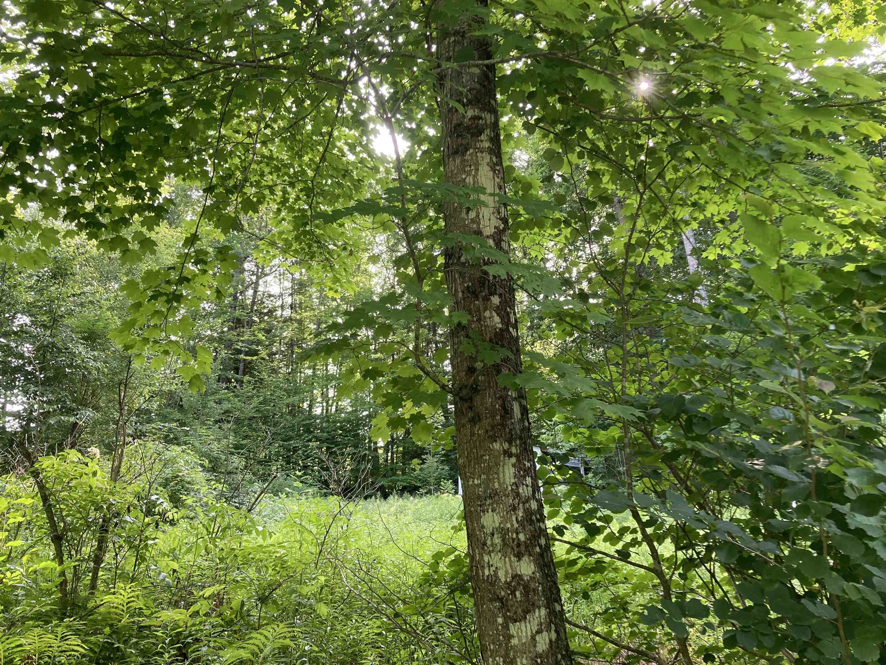 Glen Road Hillsborough, NH 03244 - Photo 1 of 1