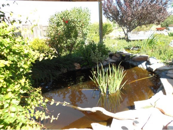 3260 West Ron Road, Unit 2 Paulden, AZ 86334 - Photo 12 of 17 a view of a fountain in the garden