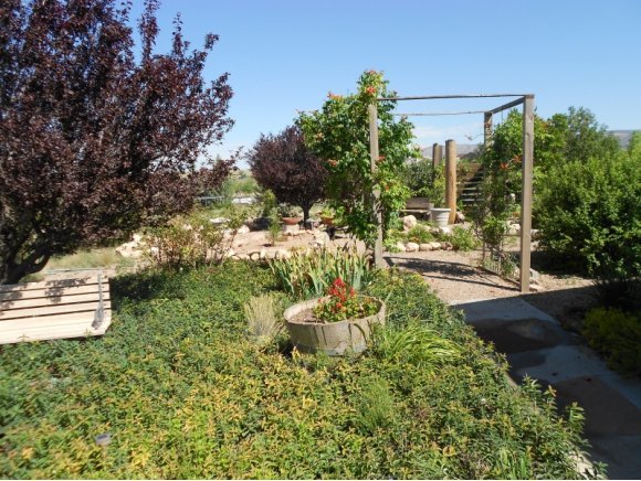 3260 West Ron Road, Unit 2 Paulden, AZ 86334 - Photo 15 of 17 a backyard of a house with table and chairs plants and large trees