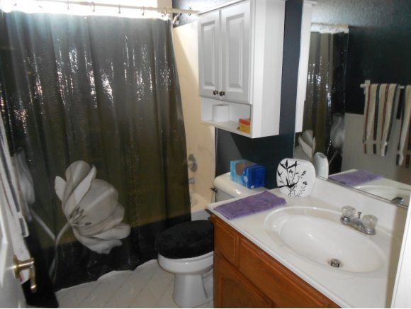3260 West Ron Road, Unit 2 Paulden, AZ 86334 - Photo 7 of 17 a bathroom with a sink toilet and shower