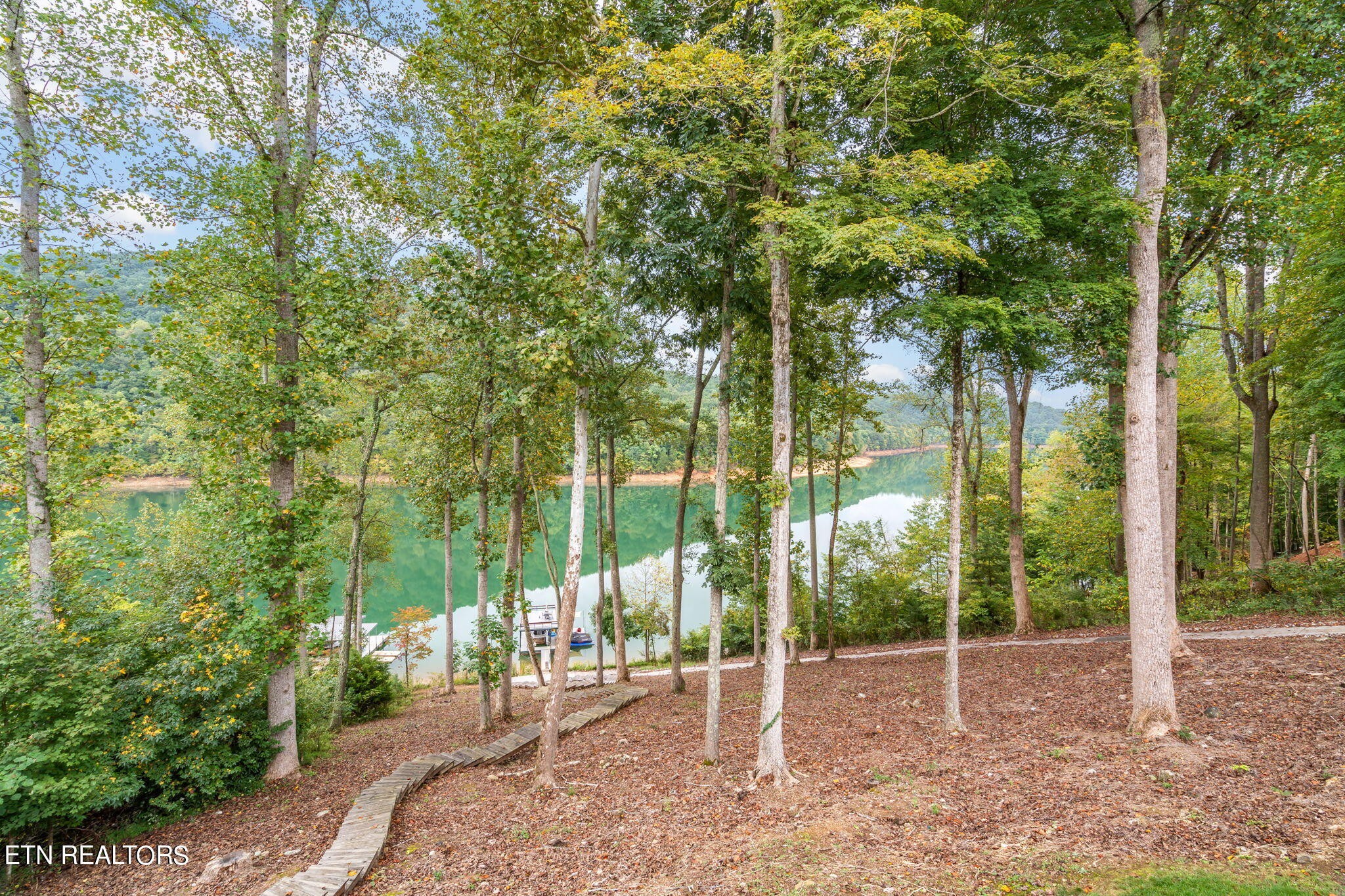 726 Fox Ridge Lane Caryville, TN 37714 - Photo 51 of 55 Gallery Image 51