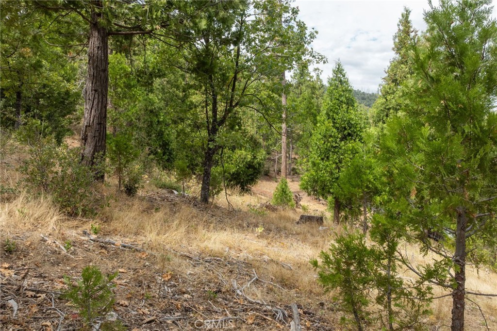 26 Timberview Road North Fork, CA 93643 - Photo 29 of 60