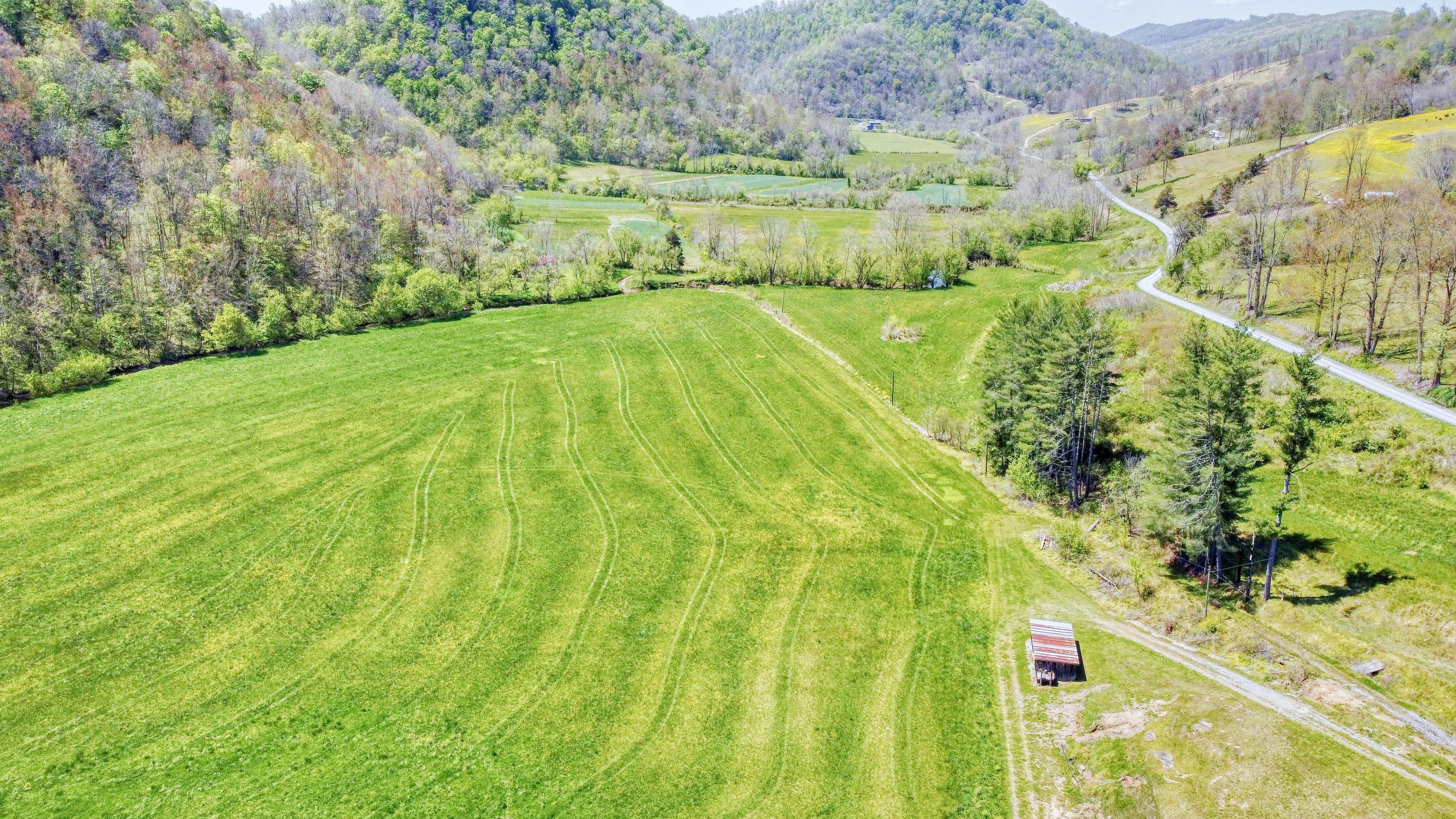 Tbd Purchase Ridge Road Duffield, VA 24244 - Photo 13 of 18 purchase_17