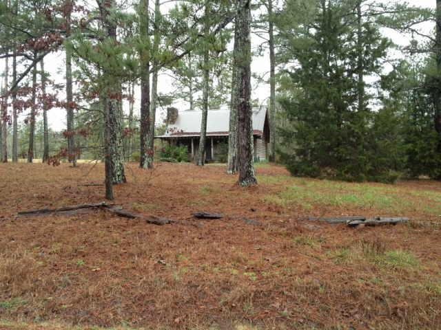 459 Rosedale Road Armuchee, GA 30105 - Photo 1 of 1 a view of a yard with a tree