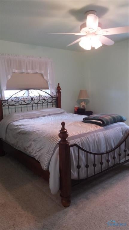26698 Shindler Road Defiance, OH 43512 - Photo 17 of 22 Gallery Image 17