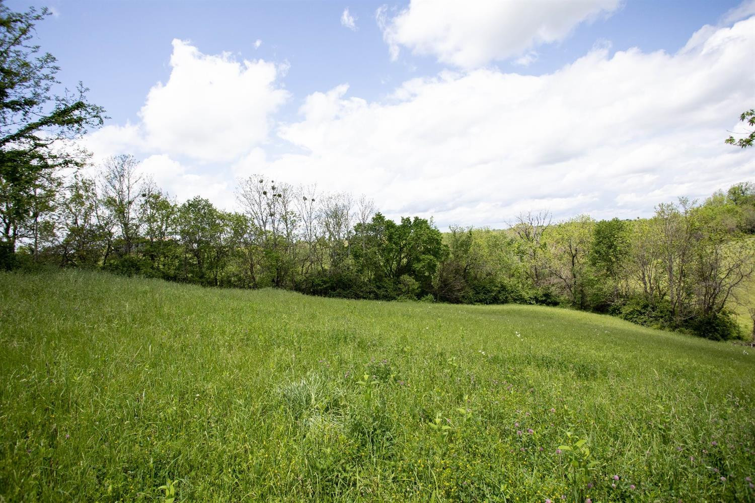 3115 Dry Fork Road Winchester, KY 40391 - Photo 36 of 40 Photo 36