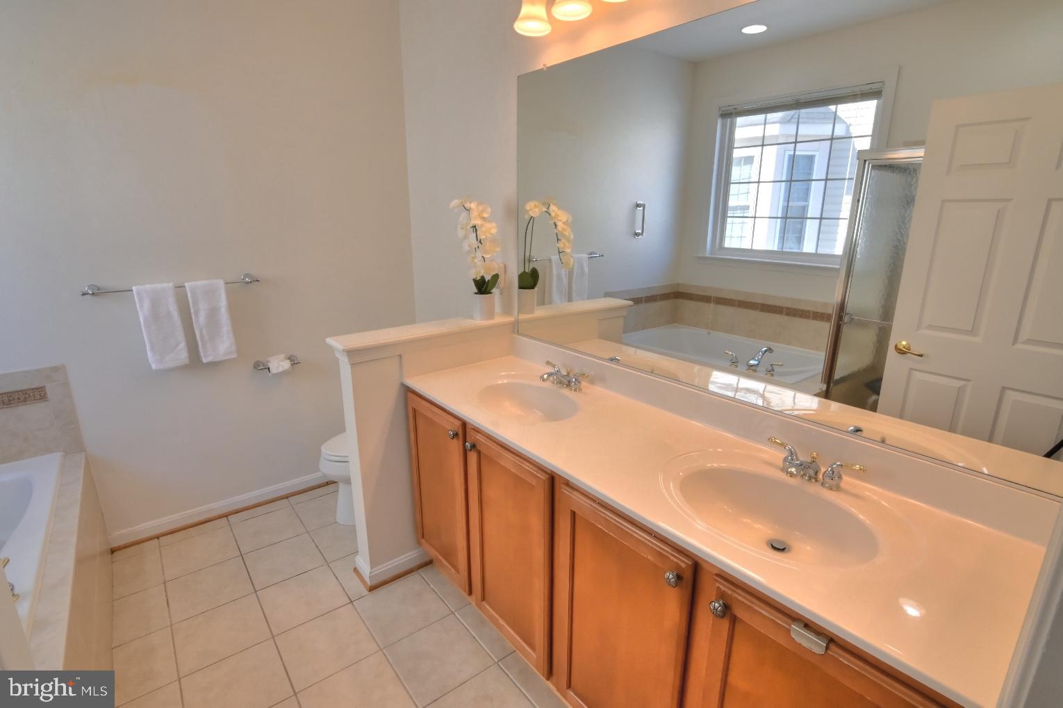 13170 Triple Crown Loop Gainesville, VA 20155 - Photo 36 of 71 a bathroom with a sink a vanity and a mirror
