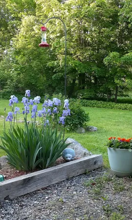 $298,000 | 61 Pleasant Street, Dexter, ME 04930