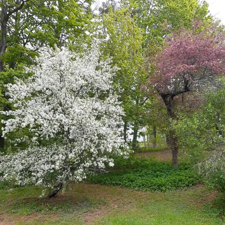 $298,000 | 61 Pleasant Street, Dexter, ME 04930