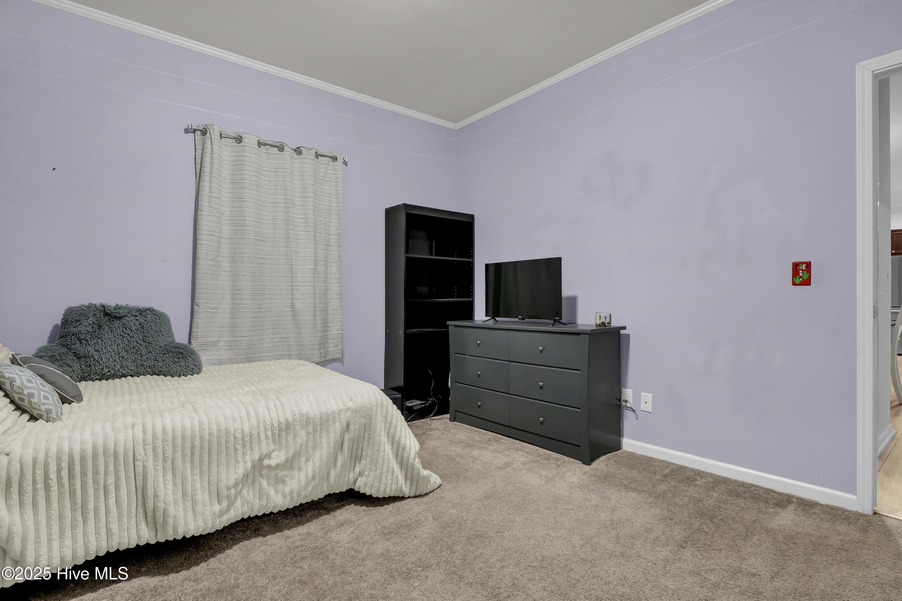 2636 Brinson Road Currie, NC 28435 - Photo 16 of 42 P2888614