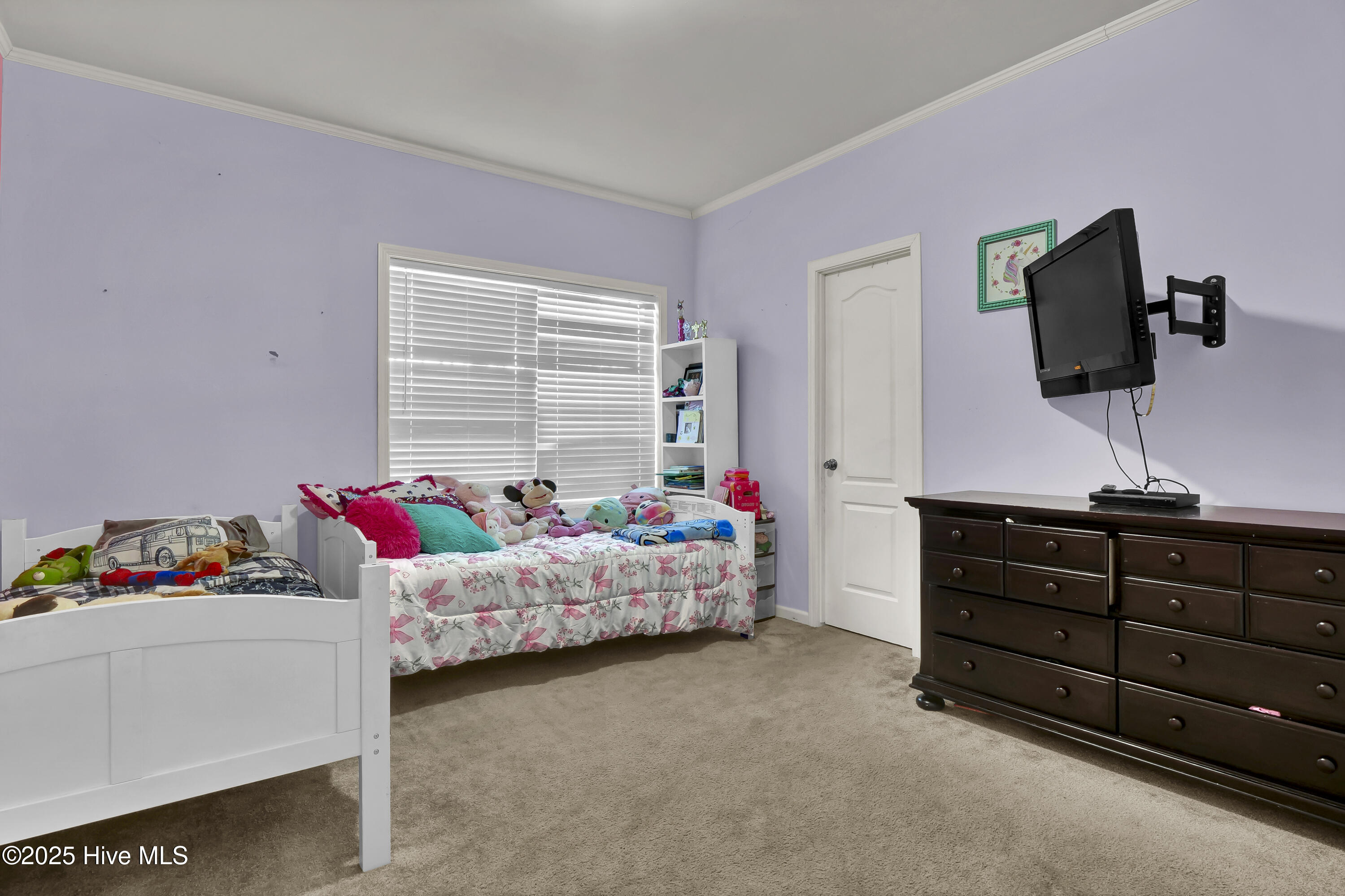 2636 Brinson Road Currie, NC 28435 - Photo 17 of 42 P2888629