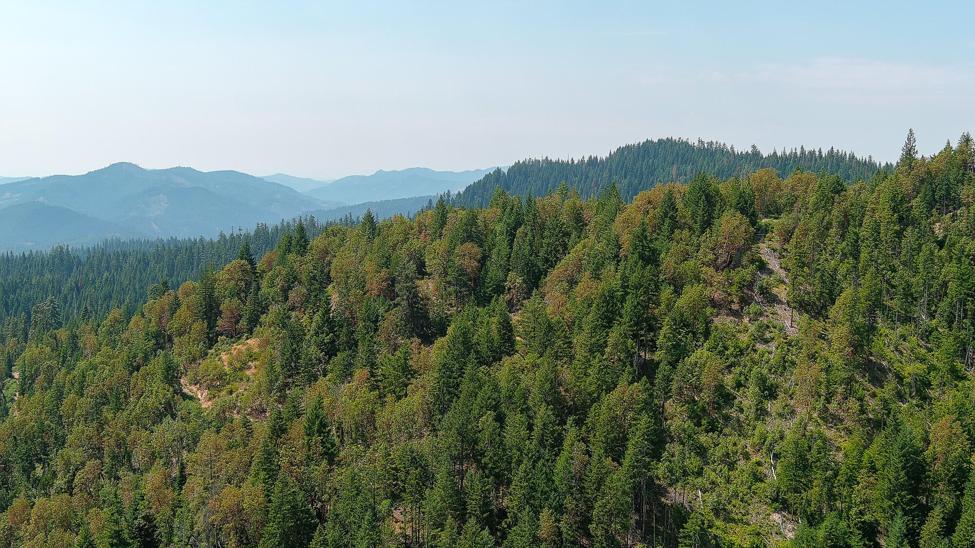 14083 Elk Creek Road Trail, OR 97541 - Photo 17 of 21 Pic 18