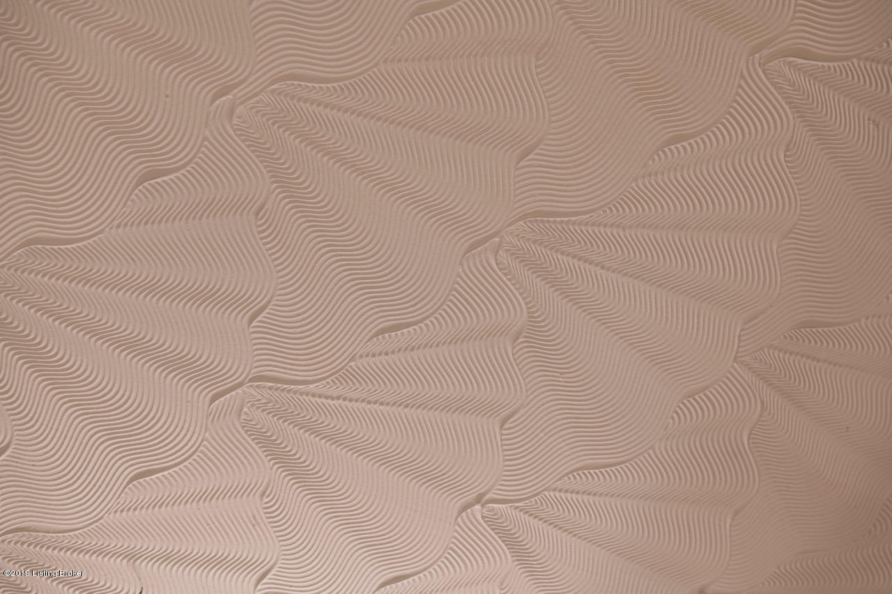 12234 Ridgemont Road Louisville, KY 40229 - Photo 8 of 24 ceiling detail