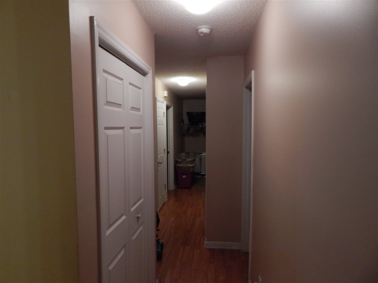 4844 Silverdene Street Raleigh, NC 27616 - Photo 9 of 11 Photo 9