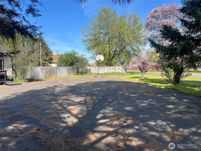 a view of swimming pool with a yard and palm trees