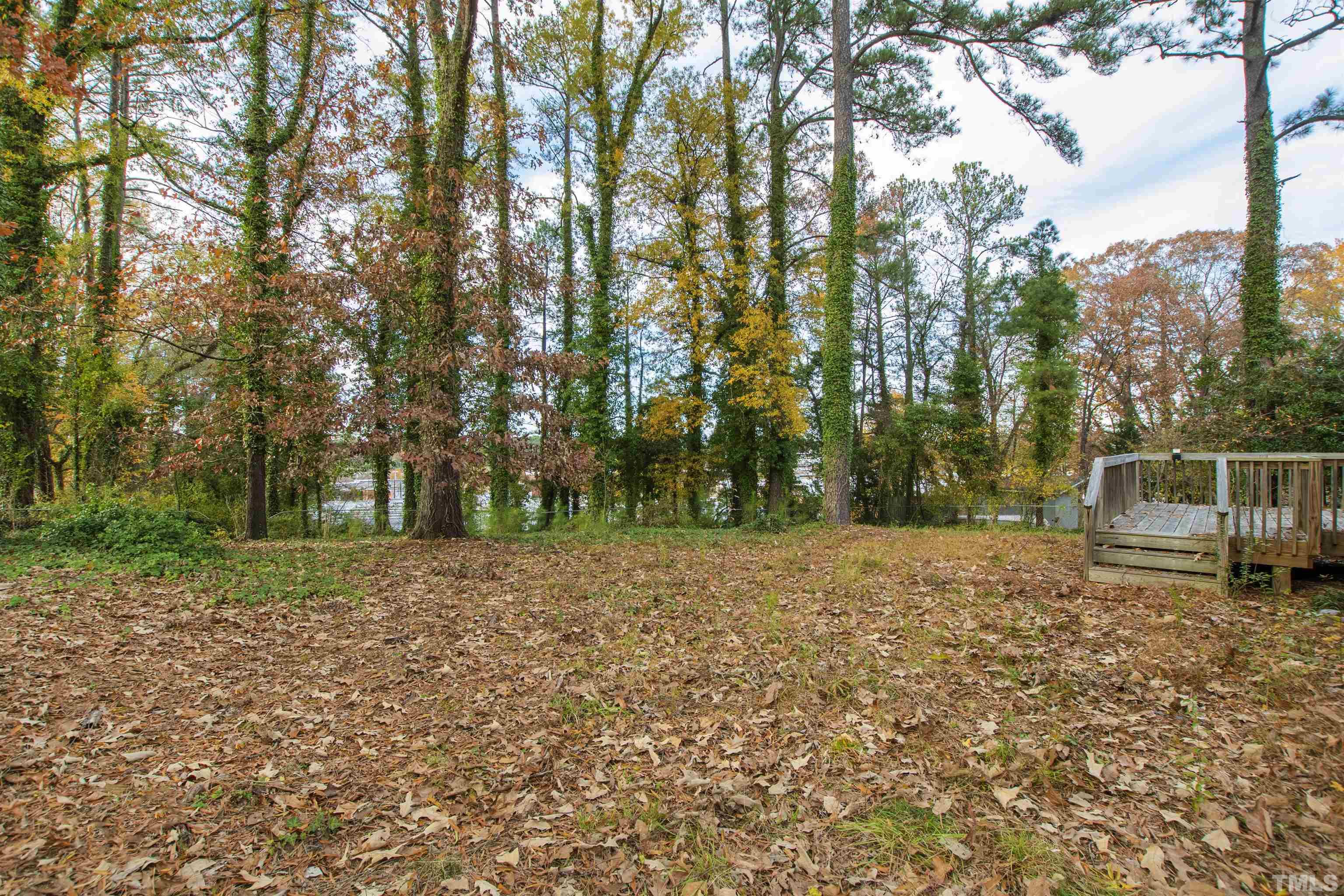 2209 Watkins Street Raleigh, NC 27604 - Photo 29 of 29 a backyard of a house with lots of green space