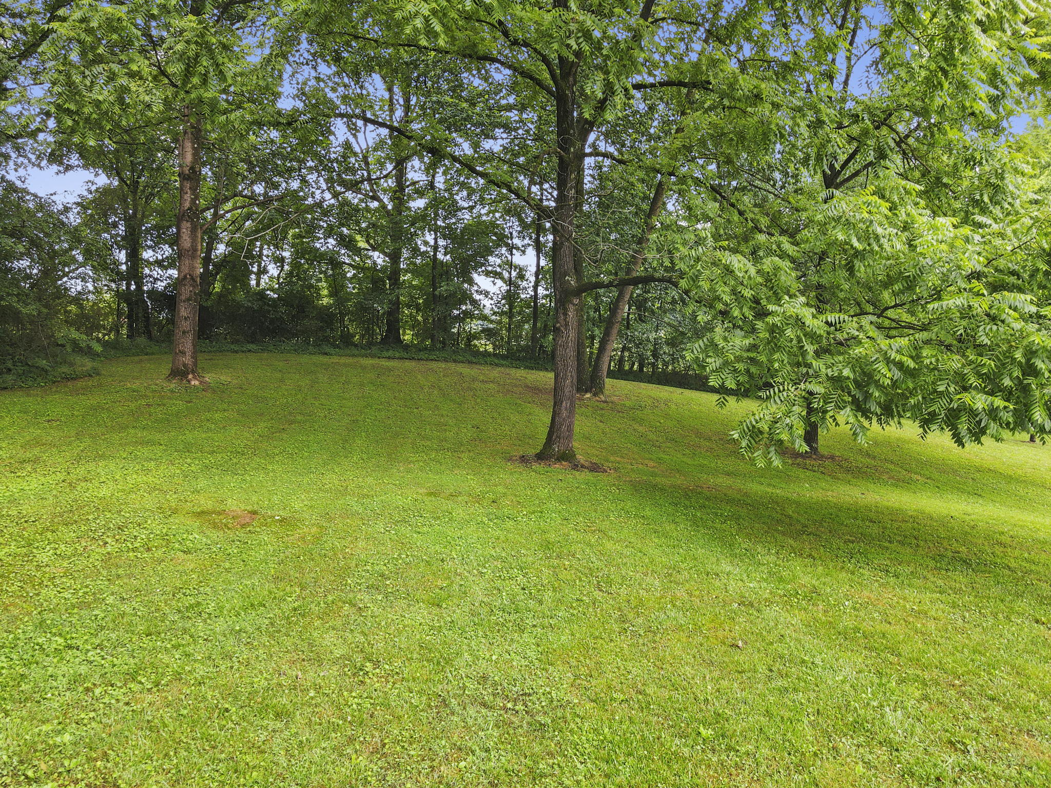 1463 Red Hill Valley Road Southeast Cleveland, TN 37323 - Photo 11 of 35 14-web-or-mls-59B330A0-DB01-4CEA-BDB0-AD