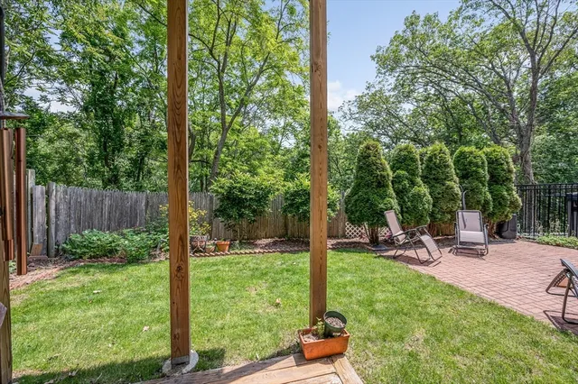 a view of a park with plants and bench