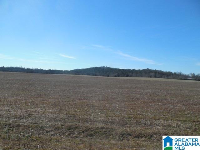 0 Curry Station Road, Unit 1 Munford, AL 36268 - Photo 10 of 14