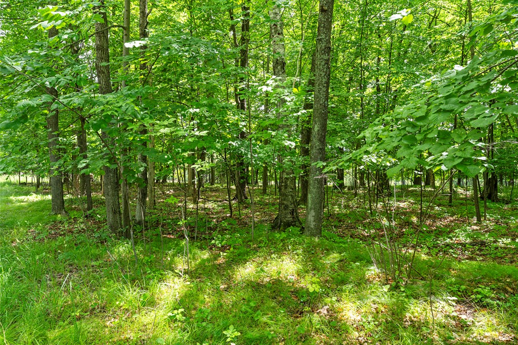 Lot #1 Horseshoe Bay Road Egg Harbor, WI 54209 - Photo 7 of 24