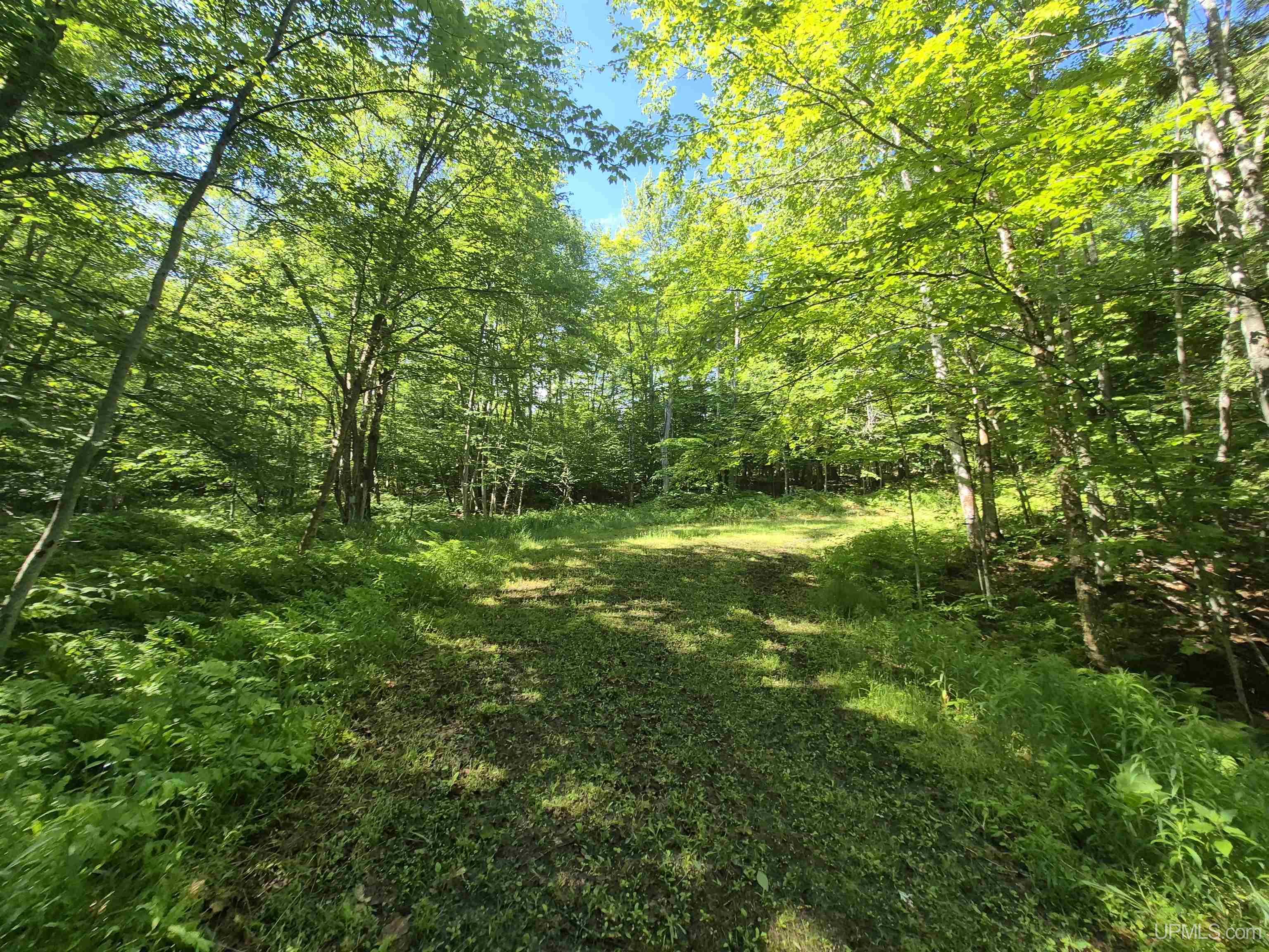 8-acres Nestor Road Munising, MI 49862 - Photo 32 of 43