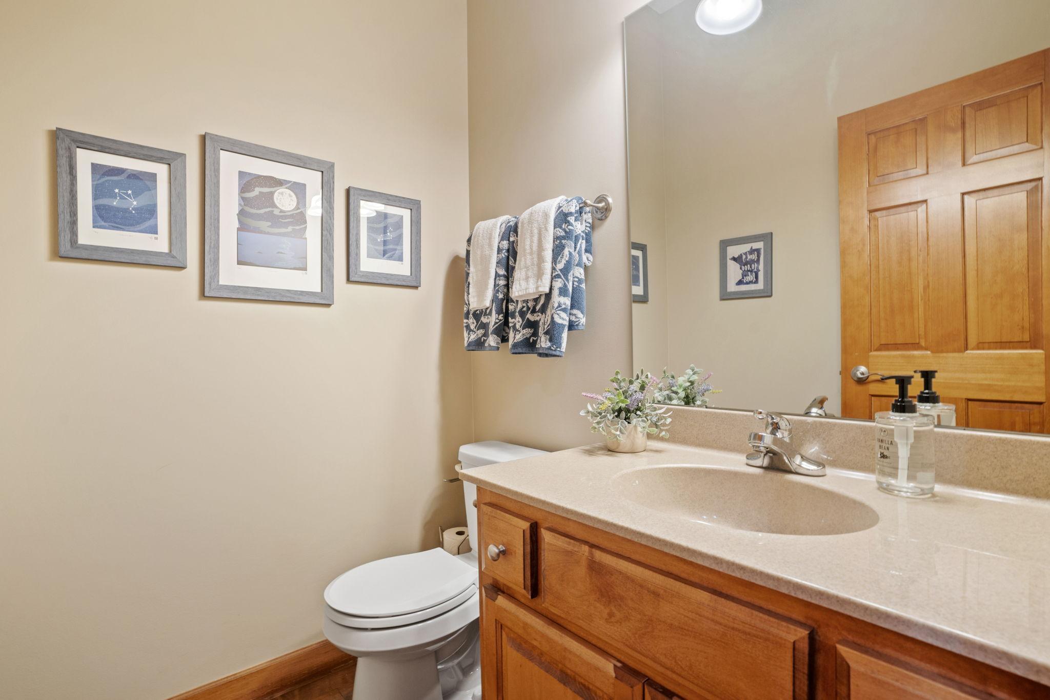 13644 Crompton Avenue Rosemount, MN 55068 - Photo 19 of 40
