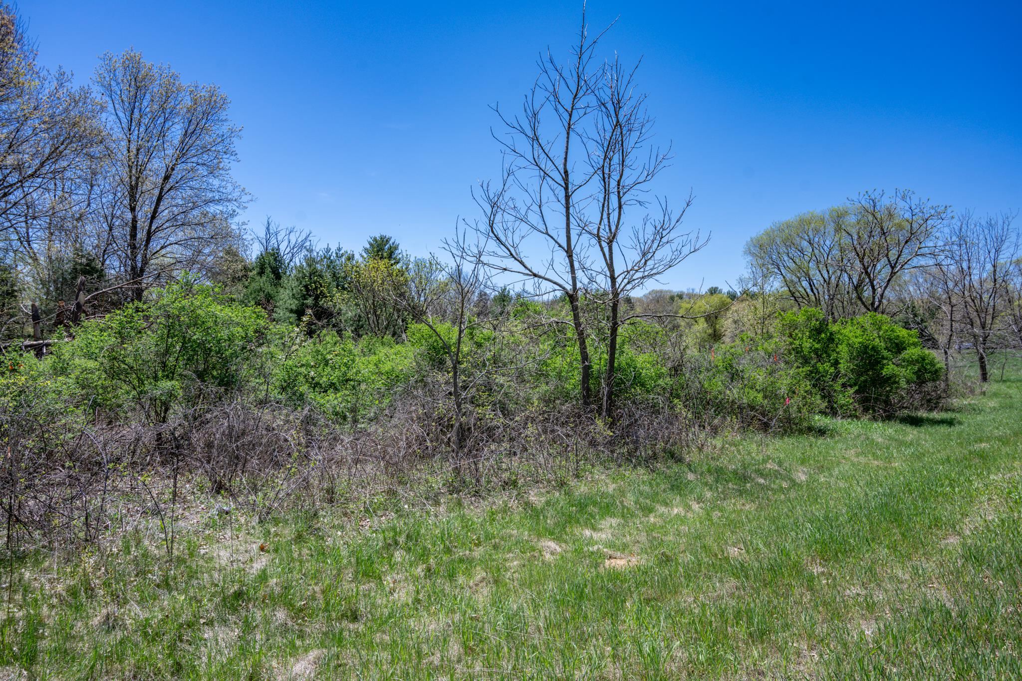 6.51-ac County Road C Montello, WI 53949 - Photo 13 of 26
