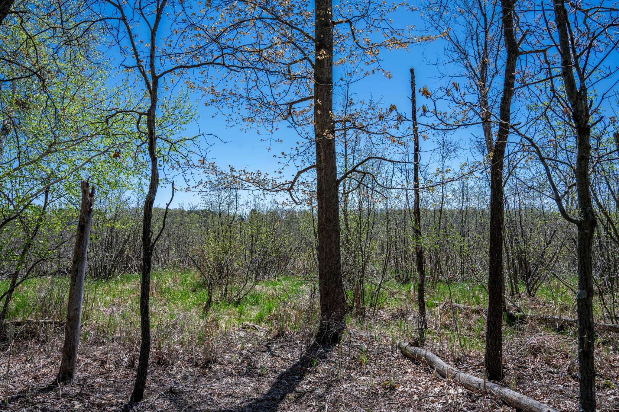 6.51-ac County Road C Montello, WI 53949 - Photo 16 of 26