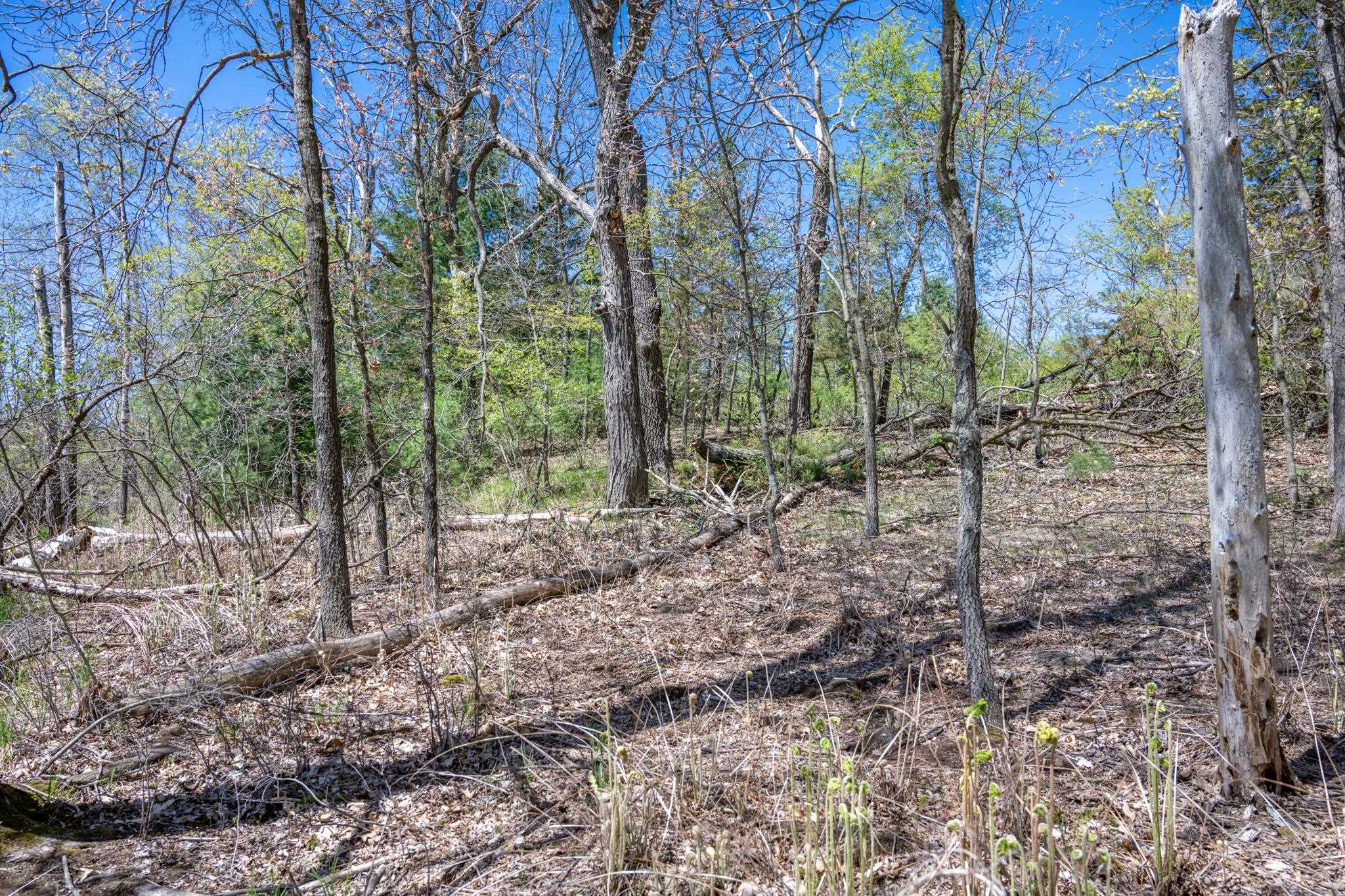 6.51-ac County Road C Montello, WI 53949 - Photo 17 of 26