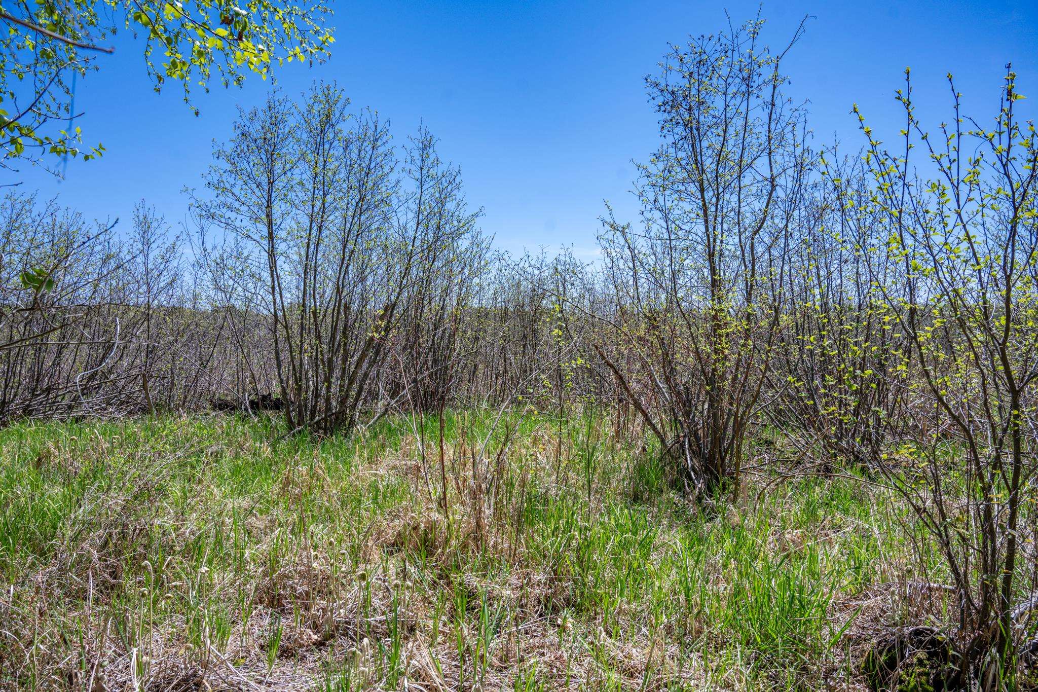6.51-ac County Road C Montello, WI 53949 - Photo 18 of 26