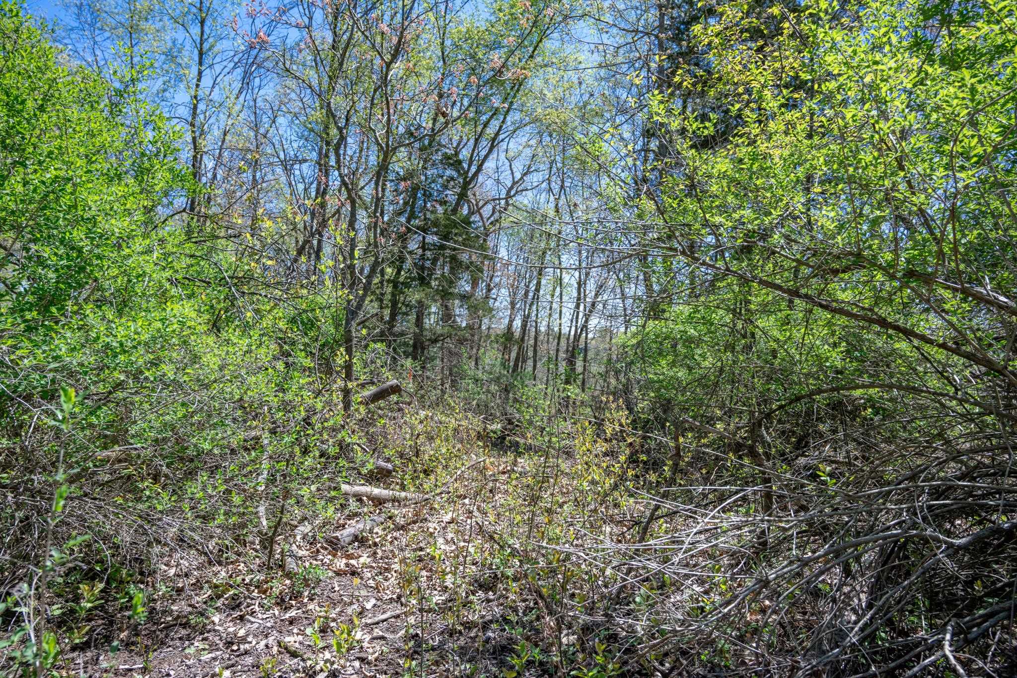 6.51-ac County Road C Montello, WI 53949 - Photo 19 of 26