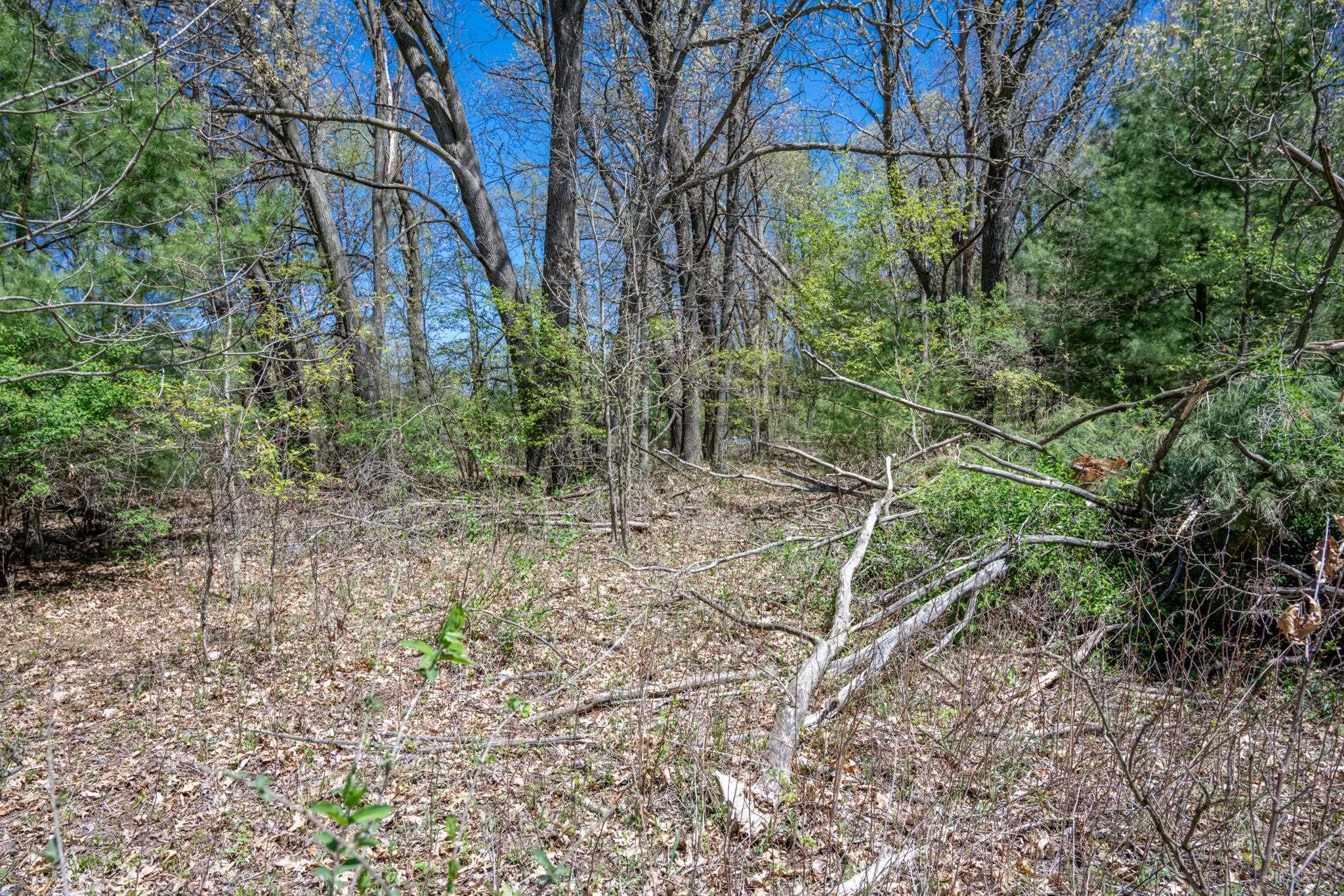 6.51-ac County Road C Montello, WI 53949 - Photo 20 of 26