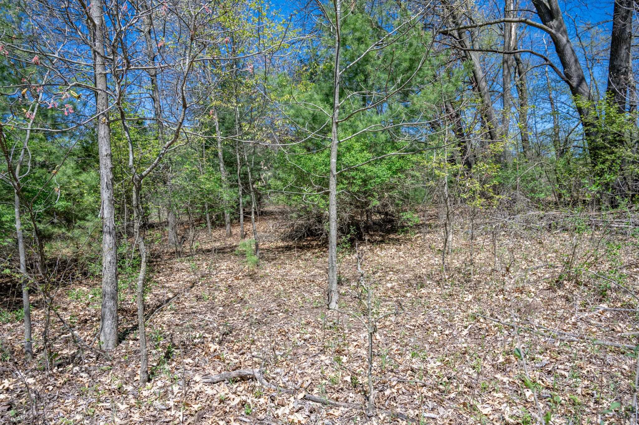 6.51-ac County Road C Montello, WI 53949 - Photo 21 of 26