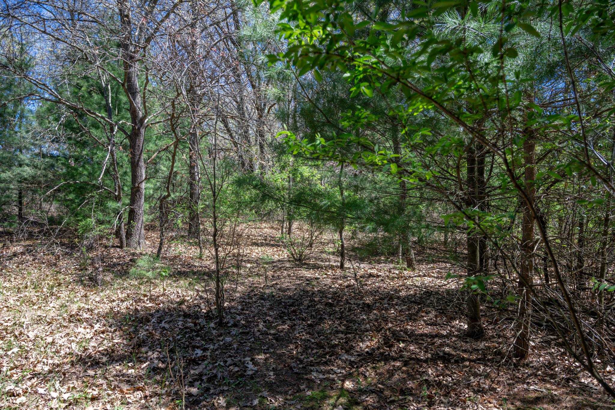 6.51-ac County Road C Montello, WI 53949 - Photo 23 of 26