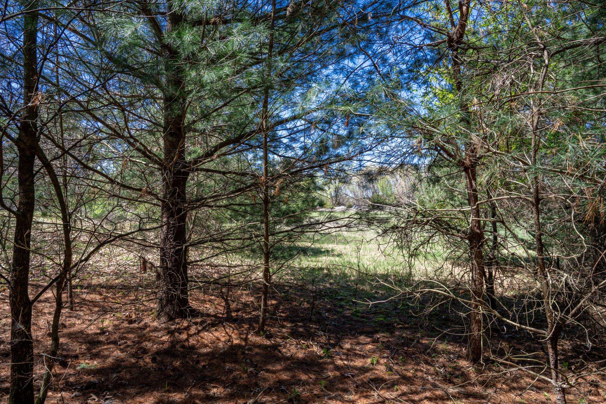6.51-ac County Road C Montello, WI 53949 - Photo 25 of 26