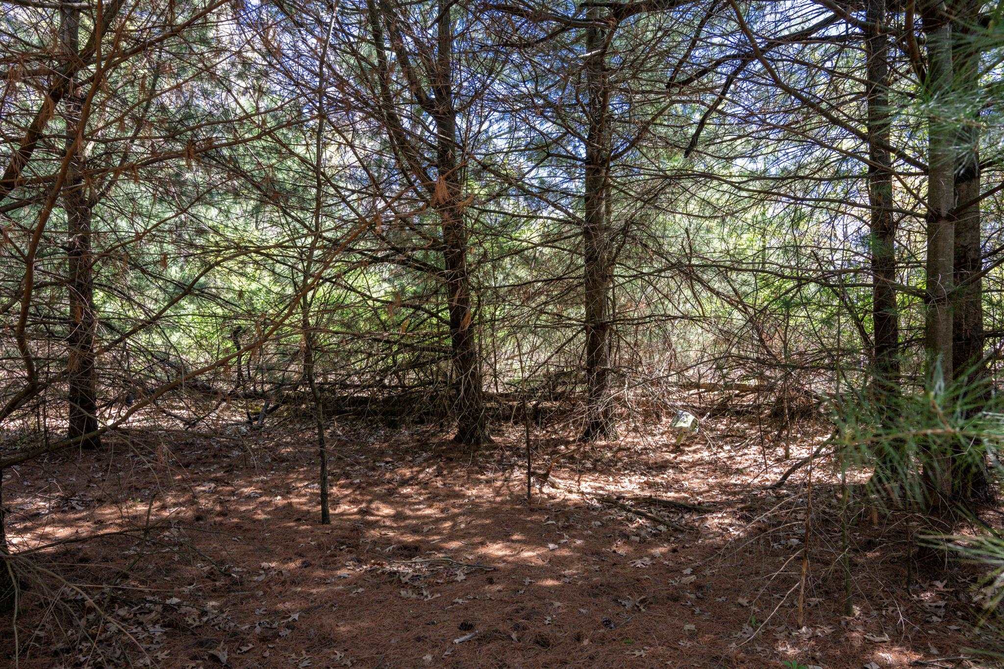 6.51-ac County Road C Montello, WI 53949 - Photo 26 of 26