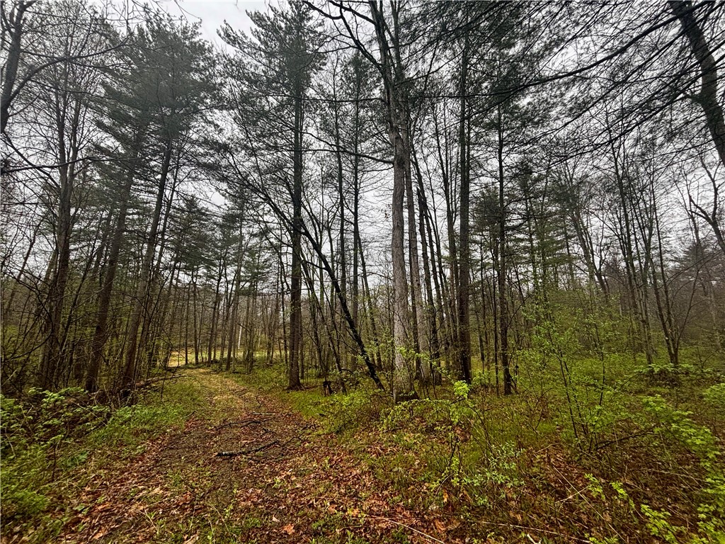 2093 Scott Road Erwin, NY 14858 - Photo 4 of 36 Gallery Image 4