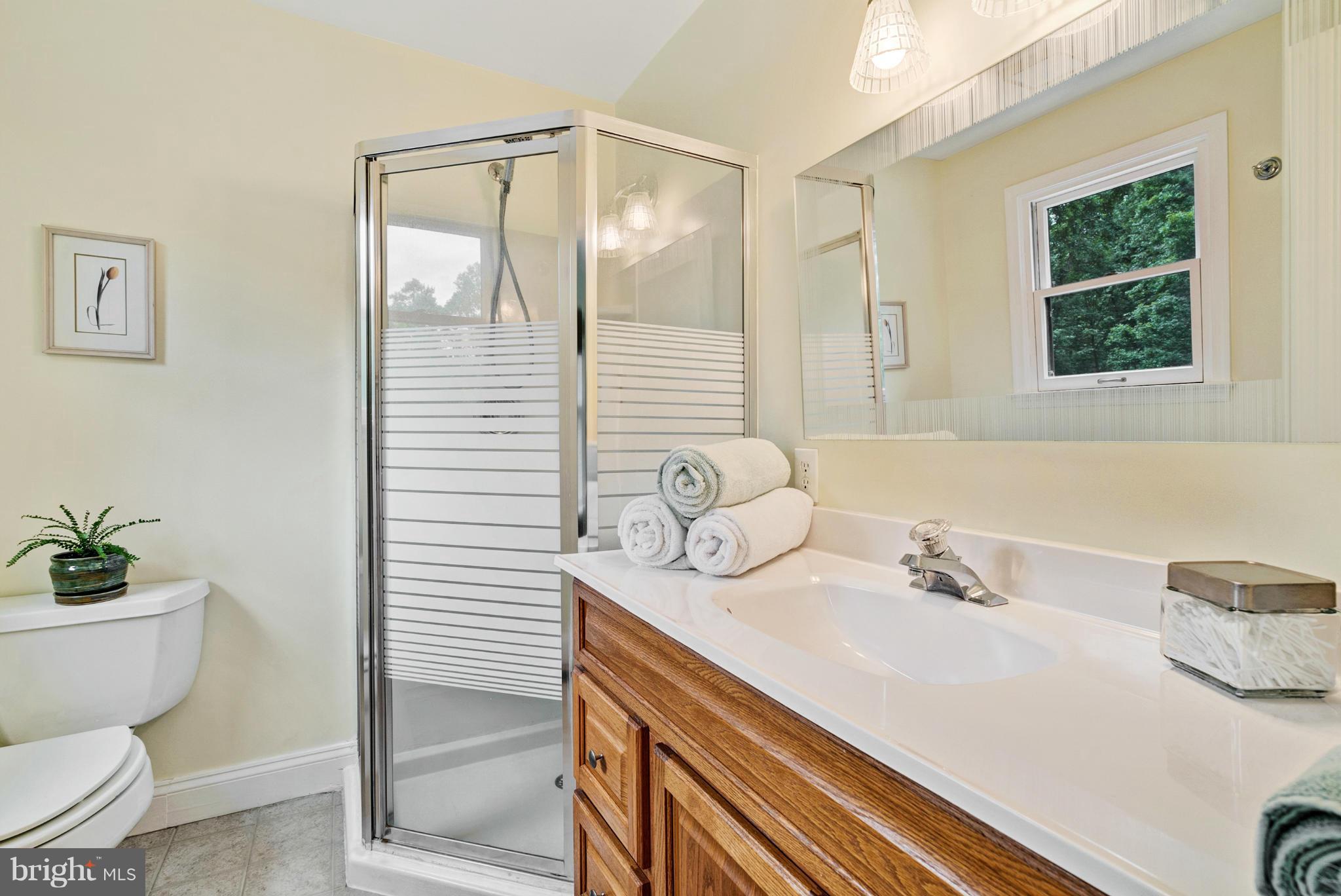 100 Cappy Road Linden, VA 22642 - Photo 17 of 23 Bath (Master)