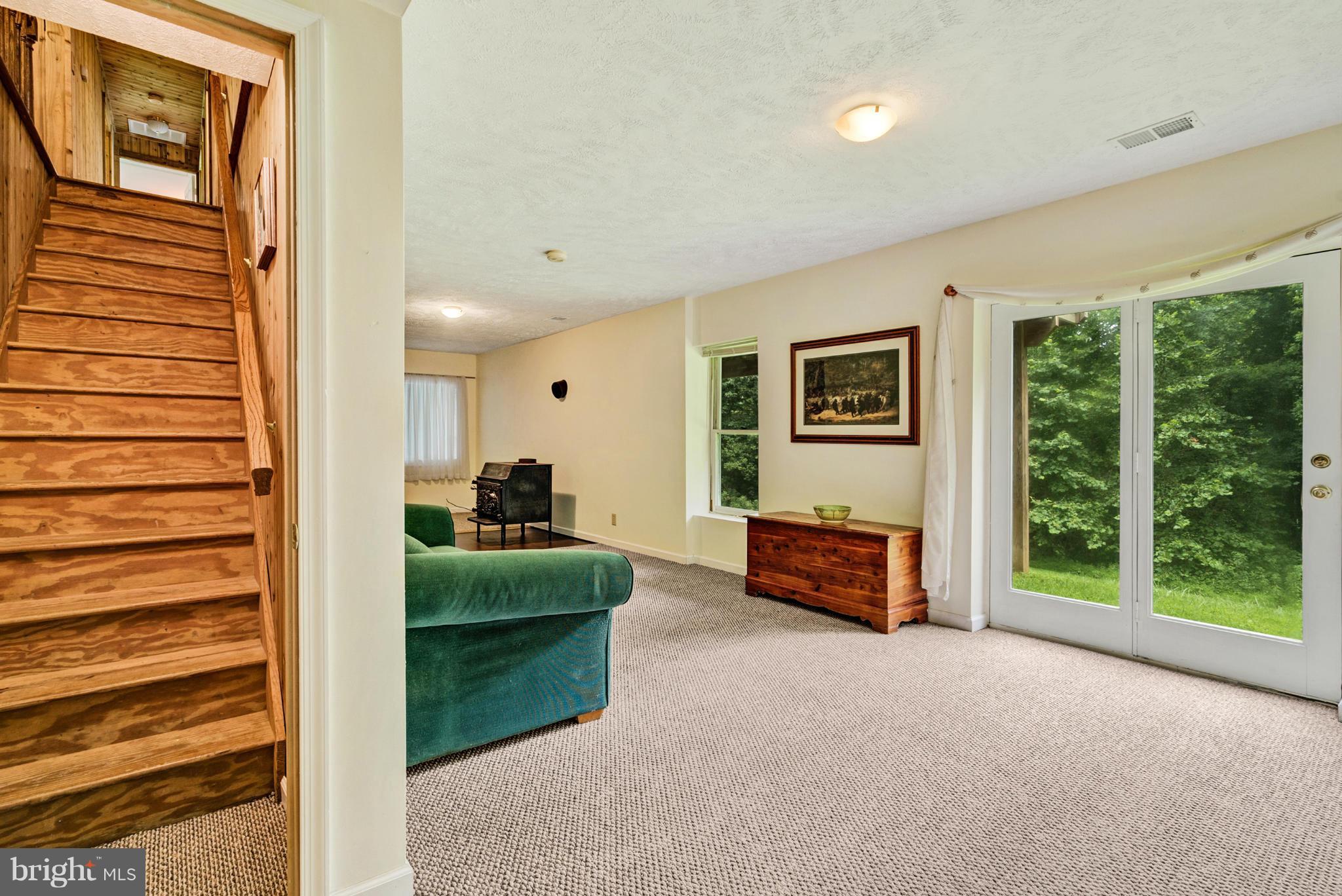 100 Cappy Road Linden, VA 22642 - Photo 19 of 23 Basement