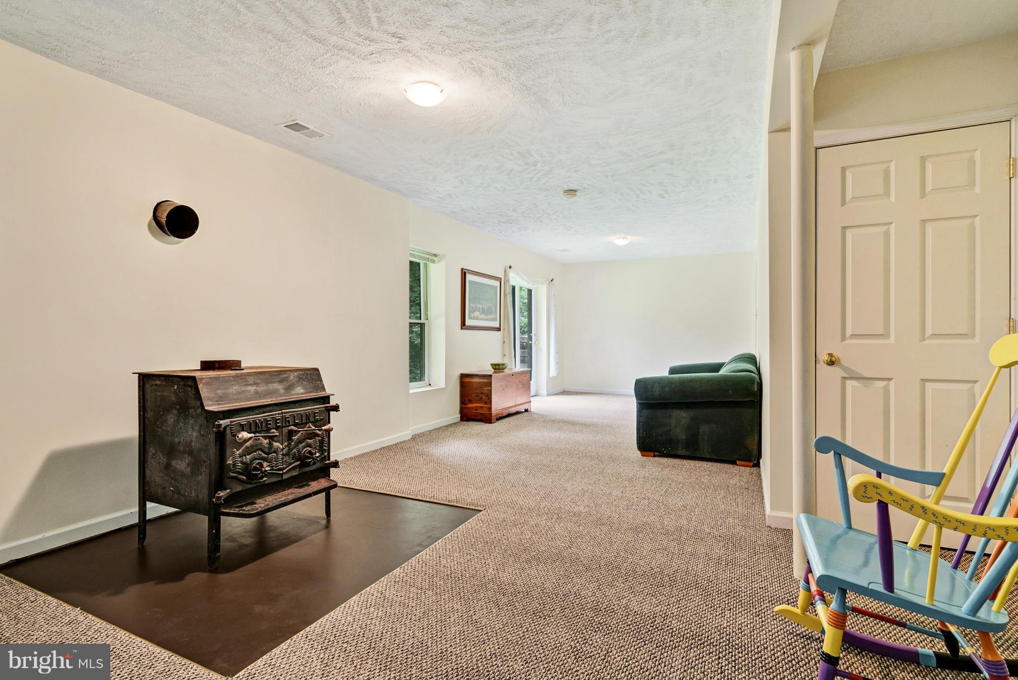 100 Cappy Road Linden, VA 22642 - Photo 20 of 23 Basement