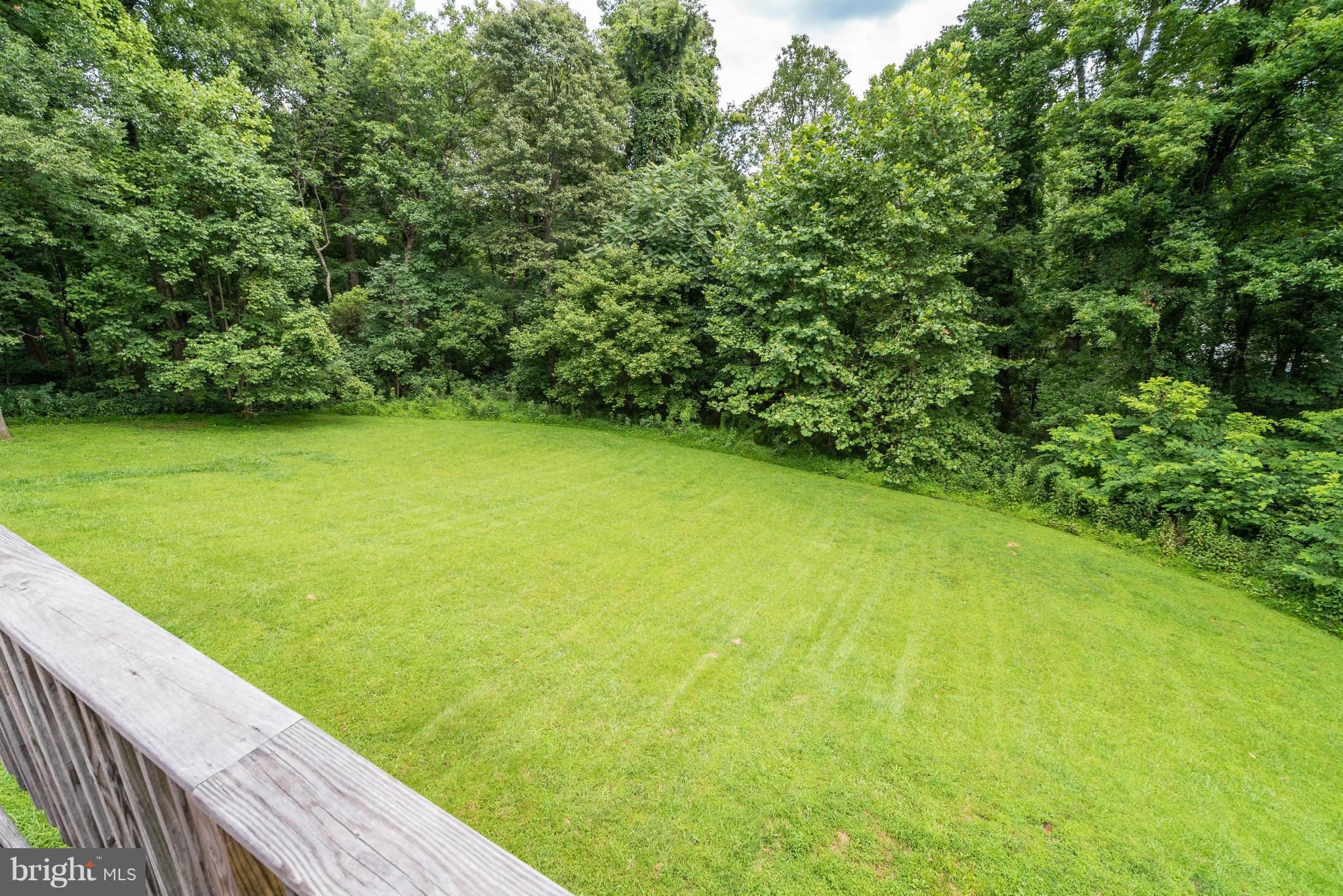 100 Cappy Road Linden, VA 22642 - Photo 23 of 23 Exterior (Rear)