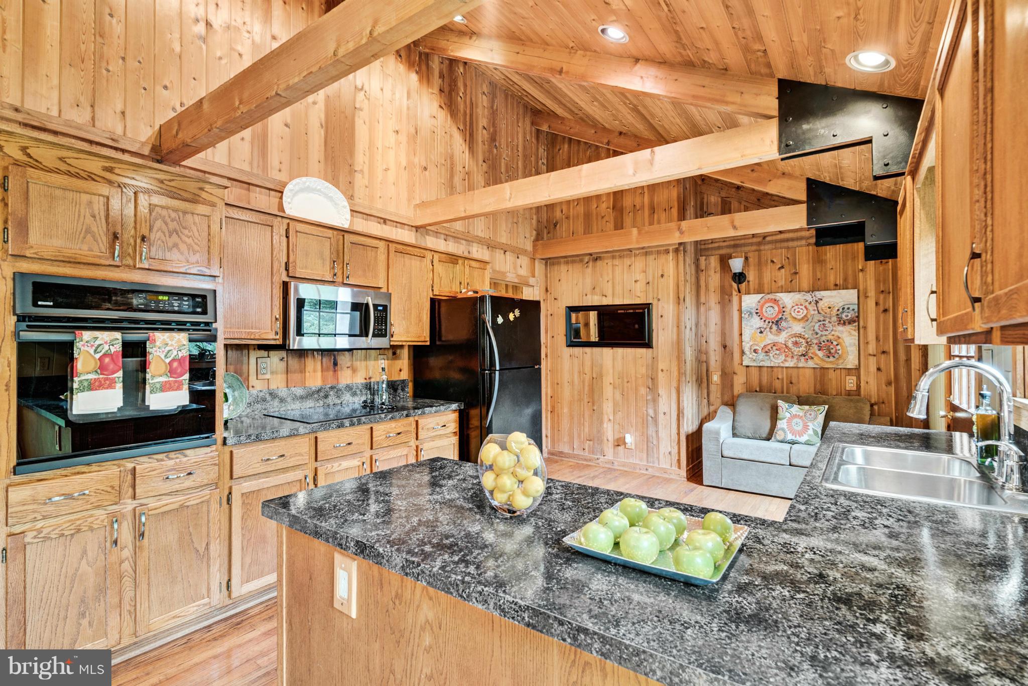 100 Cappy Road Linden, VA 22642 - Photo 9 of 23 Kitchen