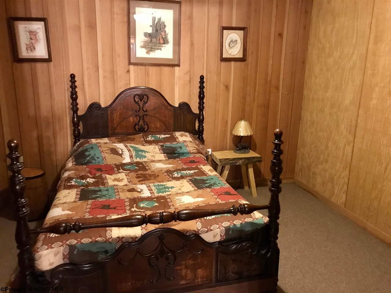 868 Cabin Mountain Road Davis, WV 26260 - Photo 18 of 30 Gallery Image 18
