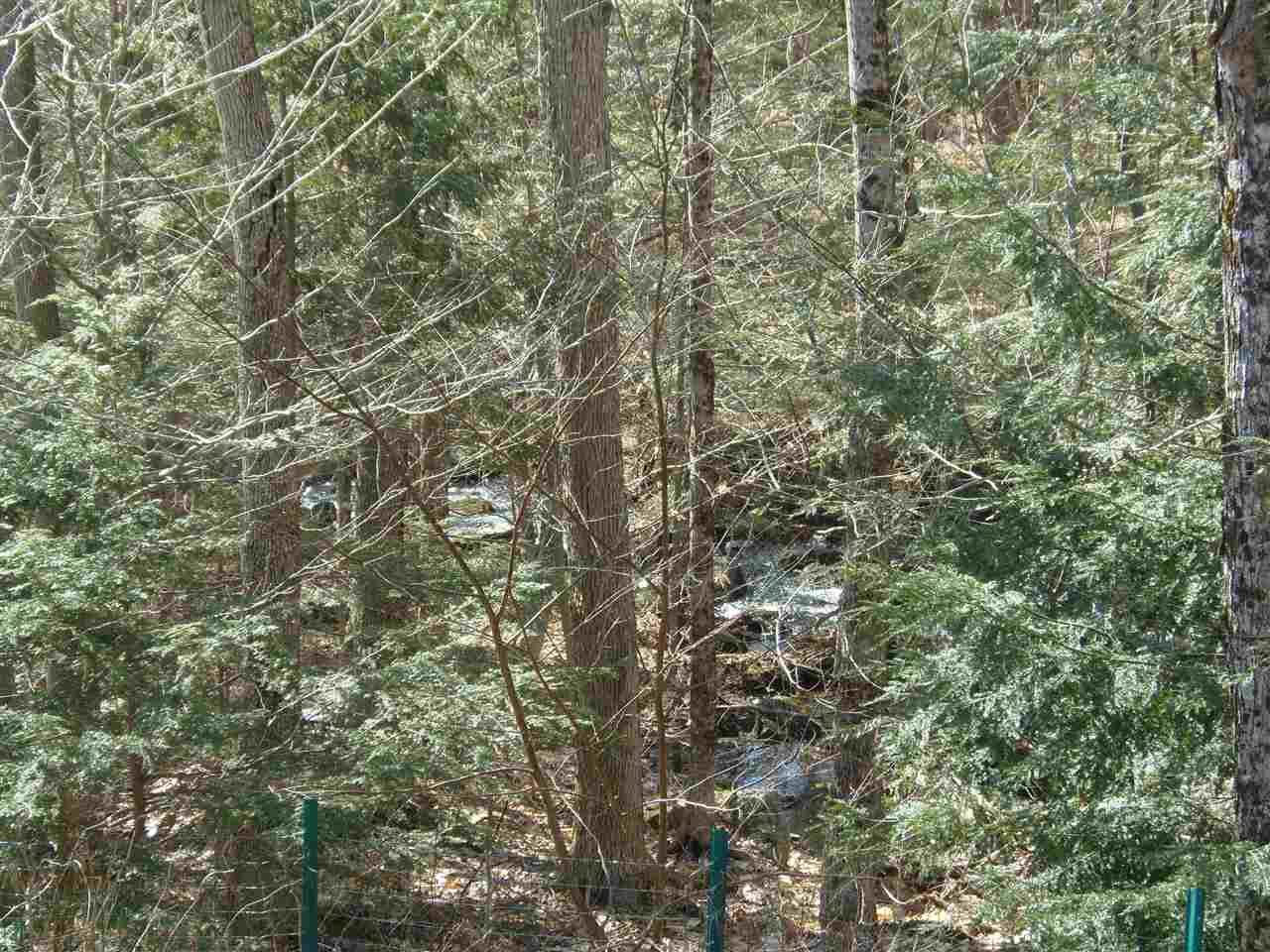 280 Fox Hill Road Stoddard, NH 03464 - Photo 26 of 32 Gallery Image 26