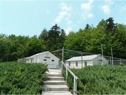 280 Fox Hill Road Stoddard, NH 03464 - Photo 28 of 32 Gallery Image 28
