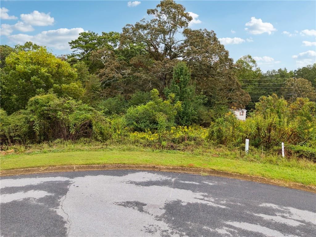 1132 Sydney Lane Demorest, GA 30535 - Photo 3 of 6 a view of a yard with a trees