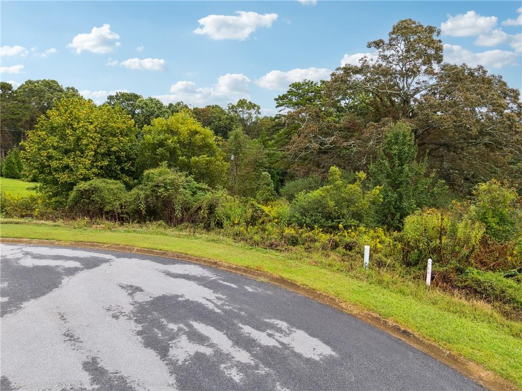 1132 Sydney Lane Demorest, GA 30535 - Photo 4 of 6 a view of a yard with an outdoor space