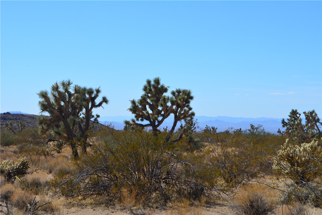 Lot 3 Bush Road Yucca, AZ 86438 - Photo 14 of 82 View