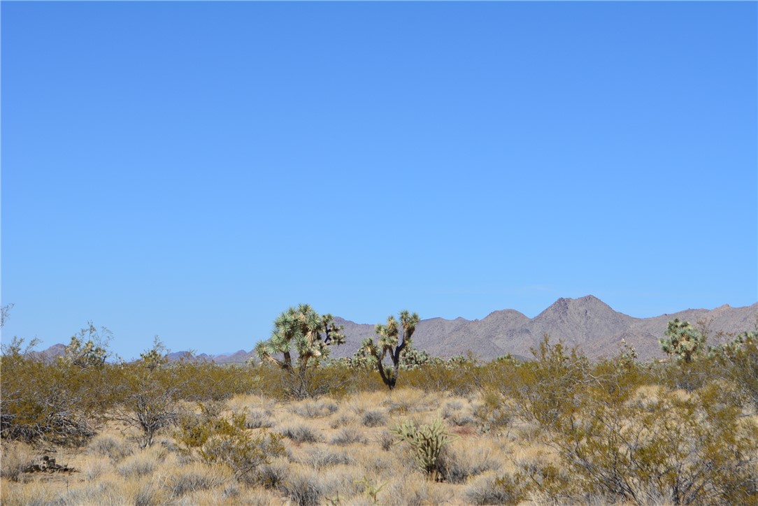 Lot 3 Bush Road Yucca, AZ 86438 - Photo 18 of 82 View